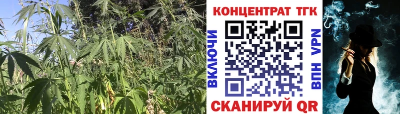 ТГК концентрат  Вилюйск 